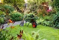 small-garden-with-wheel-barrow